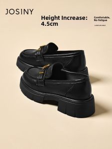 Josiny | Elevating Thick Sole Chunky Heel Loafers