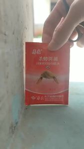 Housheng Cockroach Repellent Gel Powder Fipronil Large and Small Cockroach Killer Powder Bait Agent for Home Kitchen Use