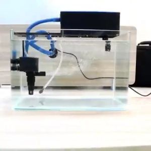 Filter Pompa Komplit Top Filter Box Aquarium 3 In 1 Siap Pakai Free Busa