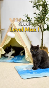 EZPET🐱【Cooling Ice Gel Mat】Dog Mat Cat Mat Summer Bed Pet Mat Sofa Washable No Need Freeze Or Refrigerate
