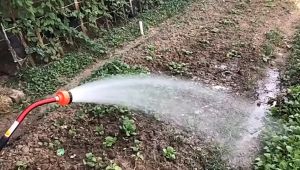 Sprayer 1000 Lubang untuk Pemupukan Benih: Alat Pemupukan Ribut