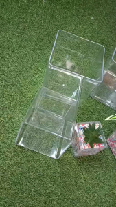 กระถางสี่เหลี่ยมพลาสติกใส มีหลากหลายขนาด