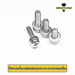 น็อต สกรู หัวกลม แฉก สวมแหวน อีแปะ+สปริง สเตนเลส 304 เกลียวมิล หยาบ M6 M8 / Pan Head Flat+Spring Washer SEM SUS