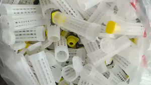 Termurah Kurungan Ratu Lebah Untuk Cerana Meliifera Queen Bee Cage Koloni Lebah Agar Nurut dan Budidaya Lebah Alat Pembiakan Lebah Original Versi Tabung Ekonomis