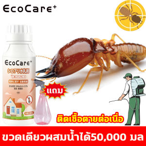 1ขวดใช้ได้นาน3ปี‼️ยากำจัดปลวก ฉีดปลวก ยาฆ่าปลวก น้ำยากำจัดปลวก 500g ปลวกตายยกรัง การป้องกันระยะยาว ความเป็นพิษต่ำและไม่มีกลิ่น เหมาะสำหรับครอบครัว ยาฉีดปลวกบ้าน ยาฉีดปลวก เหยื่อกำจัดปลวก กำจัดปลวก น้ำยาฉีดปลวก