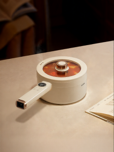 OIDIRE | Stainless Steel Multipurpose Compact Electric Cooker