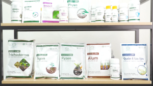 BS06 Nano Đồng Chế phẩm diệt nấm vi khuẩn mát cây xanh lá lưu dẫn cực mạnh/ Phân bón sinh học bảo vệ cây trồng Kích Thước Bs06 100Ml 250Ml 500Ml Miễn Phí Đổi Trả Hàng Giao Sai - Lazada