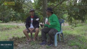 RD2551 (3 ขวด) โปรตีนอะมิโน สารเพิ่มคุณภาพและผลผลิตสกัดจากวัตถุดิบธรรมชาติ ปลอดสารพิษ