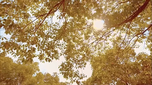 Factory พัดลมมินิพกพา พัดลมพกพา พัดลมมือถือ พัดลมพกพาชาร์จ เล็ก พัดลม โหมดจ่ายอากาศ 5โหมด มือถือ ตั้งโต๊ะ พัดลมแคมป์ปิ้ง พัดลมพกพาแรงๆ พัดลมตัวเล็ก