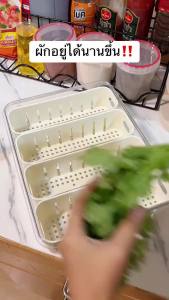 กล่องใส กล่องเก็บอาหาร แบ่งช่อง ระบายน้ํา พร้อมฝาปิด กล่องผัก ปิดผนึก รักษาความสด อุปกรณ์ครัว สําหรับห้องครัว