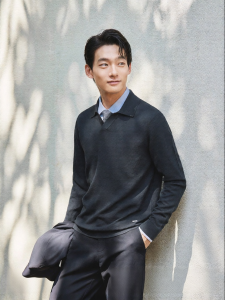 Business Casual Mens Wool Sweater with Elegant Seagull Collar Long Sleeve for Autumn Winter