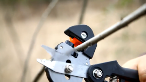 Taffware Gunting Cangkok Batang Tanaman & Tape Okulasi 100 Meter\\n\\n Apa Itu Taffware Gunting Cangkok Batang Tanaman?\\n\\nTaffware Gunting Cangkok Batang Tanaman adalah alat pertanian berkualitas tinggi yang dirancang khusus untuk memudahkan proses okulasi dan pemangkasan tanaman. Produk ini memiliki desain ergonomis yang nyaman digunakan dan dilengkapi dengan mata pisau tambahan serta bantalan potong cadangan. Dengan menggunakan Taffware Gunting Cangkok Batang Tanaman, petani dapat meningkatkan efisiensi waktu dan tenaga mereka dalam proses okulasi dan pemangkasan tanaman.\\n\\n Spesifikasi Produk\\n\\nBerikut adalah spesifikasi produk Taffware Gunting Cangkok Batang Tanaman:\\n\\n- 1 x Taffware Gunting Cangkok Okulasi Batang Tanaman Grafting Pruning Tool - 210\\n- 2 x Mata Pisau Tambahan\\n- 1 x Bantalan Potong Cadangan\\n\\n Keunggulan Produk\\n\\nTaffware Gunting Cangkok Batang Tanaman memiliki beberapa keunggulan yang menjadikannya pilihan terbaik untuk petani:\\n\\n- Desain ergonomis yang nyaman digunakan\\n- Dilengkapi dengan mata pisau tambahan dan bantalan potong cadangan\\n- Meningkatkan efisiensi waktu dan tenaga dalam proses okulasi dan pemangkasan tanaman\\n\\n Cara Menggunakan Taffware Gunting Cangkok Batang Tanaman\\n\\nBerikut adalah langkah-langkah penggunaan Taffware Gunting Cangkok Batang Tanaman:\\n\\n Persiapan Sebelum Menggunakan\\n\\nSebelum menggunakan Taffware Gunting Cangkok Batang Tanaman, pastikan alat tersebut bersih dan dalam kondisi baik. Jika perlu, ganti mata pisau atau bantalan potong cadangan dengan yang baru.\\n\\n Langkah-langkah Penggunaan\\n\\n1. Siapkan batang tanaman yang akan dicangkok atau dipangkas.\\n2. Tempatkan Taffware Gunting Cangkok Batang Tanaman pada titik yang akan dicangkok atau dipangkas.\\n3. Tekan tombol pengunci untuk memastikan alat tetap stabil selama proses okulasi atau pemangkasan.\\n4. Lakukan proses okulasi atau pemangkasan sesuai dengan kebutuhan.\\n\\n Manfaat Menggunakan Taffware Gunting Cangkok Batang Tanaman\\n\\nBerikut adalah manfaat menggunakan Taffware Gunting Cangkok Batang Tanaman:\\n\\n Meningkatkan Kualitas Hasil Okulasi\\n\\nDengan menggunakan Taffware Gunting Cangkok Batang Tanaman, petani dapat meningkatkan kualitas hasil okulasi mereka. Alat ini dirancang untuk memastikan potongan yang rapi dan akurat, sehingga tanaman dapat tumbuh dengan baik setelah proses okulasi.\\n\\n Efisiensi Waktu & Tenaga\\n\\nTaffware Gunting Cangkok Batang Tanaman dapat membantu petani menghemat waktu dan tenaga mereka dalam proses okulasi dan pemangkasan tanaman. Alat ini dirancang untuk memudahkan penggunaan dan memastikan proses tersebut berjalan dengan lancar.\\n\\n Tips & Trik Penggunaan Taffware Gunting Cangkok Batang Tanaman\\n\\nBerikut adalah tips dan trik penggunaan Taffware Gunting Cangkok Batang Tanaman:\\n\\n Pemeliharaan & Perawatan\\n\\nUntuk menjaga kebersihan dan kondisi Taffware Gunting Cangkok Batang Tanaman, pastikan alat tersebut selalu bersih dan dalam kondisi baik. Jika perlu, ganti mata pisau atau bantalan potong cadangan dengan yang baru.\\n\\n Teknik Okulasi Efektif\\n\\nUntuk mendapatkan hasil okulasi yang optimal, pastikan batang tanaman yang akan dicangkok atau dipangkas sudah siap dan dalam kondisi baik. Gunakan Taffware Gunting Cangkok Batang Tanaman dengan cara yang benar dan sesuai dengan kebutuhan.\\n\\n Kesimpulan\\n\\nTaffware Gunting Cangkok Batang Tanaman adalah alat pertanian berkualitas tinggi yang dirancang khusus untuk memudahkan proses okulasi dan pemangkasan tanaman. Dengan menggunakan Taffware Gunting Cangkok Batang Tanaman, petani dapat meningkatkan efisiensi waktu dan tenaga mereka dalam proses okulasi dan pemangkasan tanaman.\\n\\n Rekomendasi Produk Terkait\\n\\nJika Anda mencari alat pertanian berkualitas tinggi lainnya, kami juga merekomendasikan:\\n\\n- Taffware Gantungan Tanaman\\n- Taffware Alat Penanam Benih\\n- Taffware Alat Penanam Bibit\n}