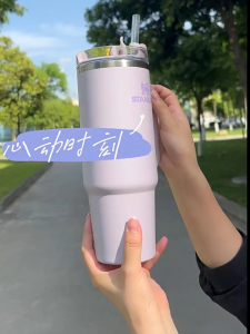 【SG Ready Stock】STANLEY Quencher H2.0 40oz Insulated Tumbler Large Thermal Cup with Handle & Straw Car Mug