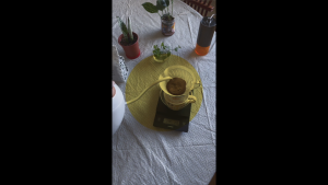 Colombia La Virgen #1 by Jaime Ariza (coffee beans for filter brewing)