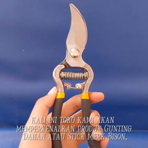 Gunting Dahan / Stick Bison