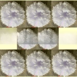 Thickened Integrated Net Bag Plant Protection Bag for Pomegranate Fruit Pest Control Bag Special Use Fruit Protection Bag