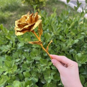 Delta Action Game Props Model Red Wolf Eats Golden Rose Full Set Toy Dụng Cụ Chơi Game Đồ Chơi Mô Hình Bộ Sưu Tập