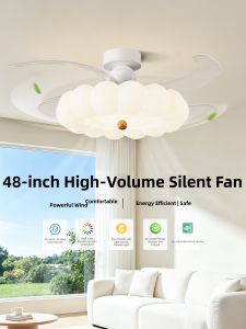 DGY | New Invisible Eye-Protective Simple Ceiling Fan Light