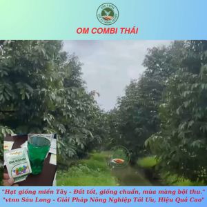 COMBI Thái Lan gói 50gr - Phân bón nhập khẩu vtnn Sáu Long