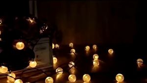 Đèn led pha lê bi bọt chiều dài 5 mét 20 bóng trang trí ngoài trời chống nước cắm điện