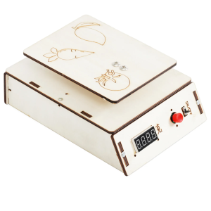 DIY Electronic Scale Model Science Toys for Kids Physics Experimental Tool Kit Children Educational Toys School Supply
