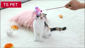 Pet Interactive Toy Feather Kitten Teaser Wand Stick w/ Bell Cat Chaser Toys Accesories