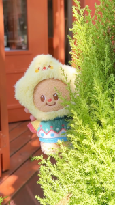 TOPTOY x ButterBear Versatile Wardrobe Plush Blind Box Doll Pendant Doll Trendy Toys 盲盒系列