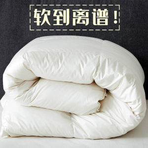 Quilt Inner Winter Quilt Cotton Quilt Nine-Hole Quilt Cocoon-Fiber Quilt Thick Warm Winter