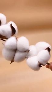 Bunga Kapas Cotton Flower Single Stem Dekorasi Hiasan Bunga Kering Bunga Palsu KB15