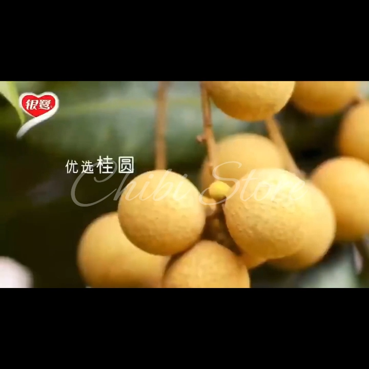 YINLU BaBaoZhou Bubur 8 Rasa Longan/Eight Treasure Congee Porridge, Bubur Aneka Biji-Bijian Teratai Rempah China Siap Saji 360gr 银鹭桂圆莲子八宝粥