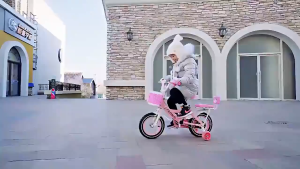 HOBWO จักรยานเด็ก จักรยานเด็กผู้หญิง 12นิ้ว16นิ้ว18นิ้ว 20นิ้ว สีสวย จักรยานมีตะกร้า เฟรมเหล็ก แข็งแรง ทนทาน ลายน่ารัก มีตะกร้