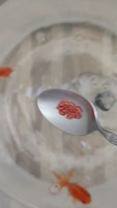 อาหารปลาเม็ดลอย บิวตี้ฟิช200กรัม กลิ่นหอม กินดี ย่อยง่าย อ้วน สีสด น้ำไม่ขุ่น