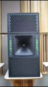 [ORIGINAL] SPEAKER PASIF ASHLEY DC 24N DC 24 N DC24N ORIGINAL 12 INCH NEODYMIUM SPEAKER