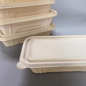 MOLORE | Biodegradable Two-compartment Meal Box Eco-friendly Disposable Rectangular Container