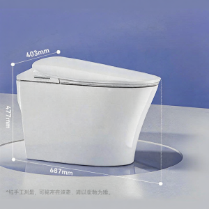 SSWW | Bồn Cầu Thông Minh Hai Chế Độ Xả