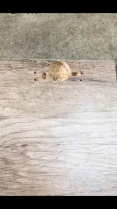 【SG Stock】Stainless Steel Cabinet Hinge Soft Closing Safety Buffer Cabinet Door Hinges Home Furniture Full-Overlay