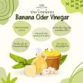 BANANA CIDER VINEGAR |  RAW Unfiltered ไซเดอร์กล้วย น้ำส้มสายชูหมักจากกล้วยน้ำว้า แบบมีตะกอน. 