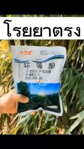 กําจัดวัชพืช ต้นไม้และไผ่ 99% สูตรเข้มข้น 🌲MIES ยาฆ่าต้นไม้ 500g 5% เฮกซาซิโนน ยาฆ่าตอไม้ ยากำจัดต้นไม้ สารกำจัดกอไผ่ กำจัดต้นไม้ ผงกำจัดกอไผ่ ผงฆ่าต้นไม้ ยาฆ่าไม้ไผ่ บอกลาการตัดต้นไม้ด้วยตนเอง กำจัดวัชพืชรากเน่า ผลติดทน