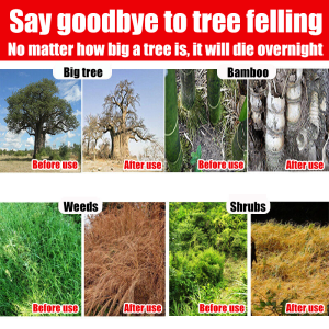 Big trees roots rot in 3 days Racun pokok kayu besar 500g Tree killer Concentrated formula Can kill trees bamboo weeds and shrubs Racun pokok paling kuat Hexazinone herbicide Racun bunuh pokok buluh racun rumput paling kuat cepat mati 环嗪酮 Weed killer