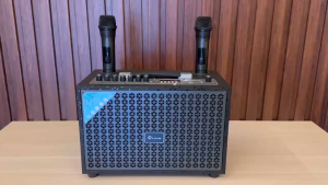 [ Review ] Mua Loa Bluetooth Leong Chính Hãng Giá Rẻ Kiểu Dáng Nhỏ Gọn Có Quai Xách Kèm 2 Mic Không Dây Bass Căng Âm Thanh Bay Bổng Loa Nghe Cực Hay Kết Nối Xa Gọn Gàng Dễ Xách Đi Du Lịch.