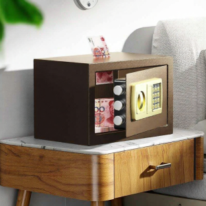 Password Protected Metal Piggy Bank