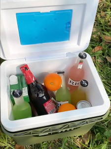SG [READY STOCK] Portable Cooler Box Ice Cooler Box Beer Chiller Drinks Camping Army Box 6L 9L 15L 24L