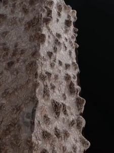 ที่เสียบมีด🍴 ที่ใส่มีดในครัว ที่เสียบมีดติดผนัง เสียบมีด ที่เก็บมีด/ช้อนส้อม ที่วางมีด ที่แขวนตะหลิว✨พร้อมส่ง