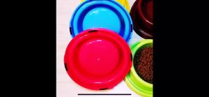 Boqi Factory ชามกันมด ใส่อาหาร สำหรับหมาและแมว รอบชามเป็นช่องสำหรับใส่น้ำ เพื่อกันมดขึ้น 90056