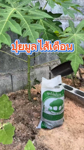 สินค้าราคาพิเศษ ปุ๋ยมูลไส้เดือนบลูเวิร์ม 3ถุง แถมฟรี น้ำหมักมูลไส้เดือนธรรมชาติ