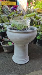 อ่างปลูกบัวเลี้ยงปลาขนาดกว้าง37เซนติเมตร