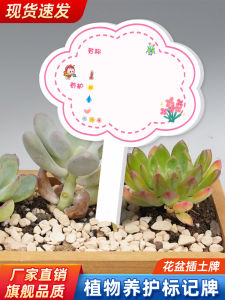 Handwritten DIY PVC Plant Care Label Garden Lovers Small Pot Sign Nursery School Succulent Green Ivy Green Plant Label Stick in Soil