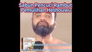 Jaysuing Syampu Pembaikan Polygonum Multiflorum Syampu Rambut Pelembap Rambut Hitam Semula Jadi