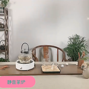 Mini electric ceramic stove for home use infrared heating silent electric tea pot stove black and white color