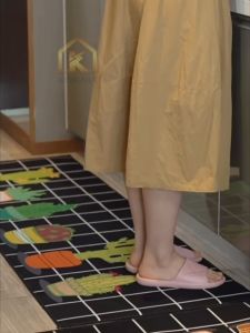 Super Absorbent Diatom Mud Mat Set Kessler Toilet Mat Anti-Slip Bathroom Mat Dry Wet Kitchen Mat 硅藻泥地垫